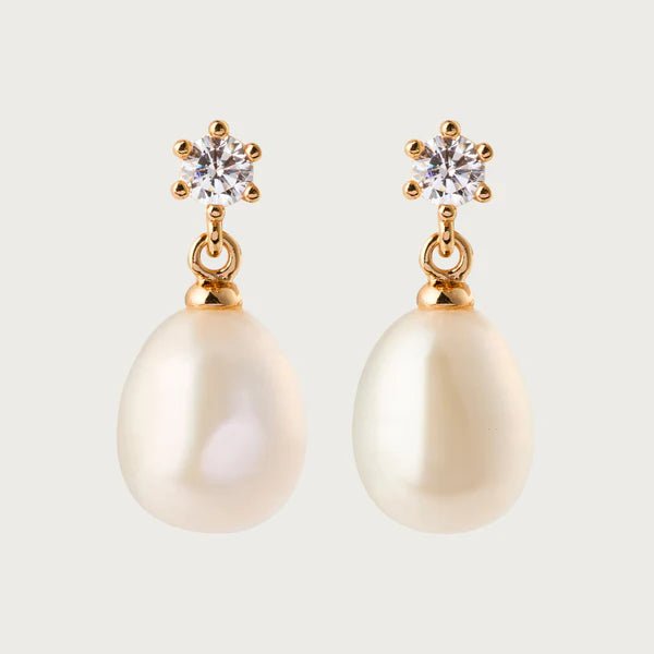 Daily Korvakorut Gold - Sparv - My Milou