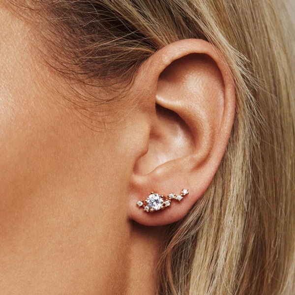 Midnight Korvakorut Gold - Sparv - My Milou