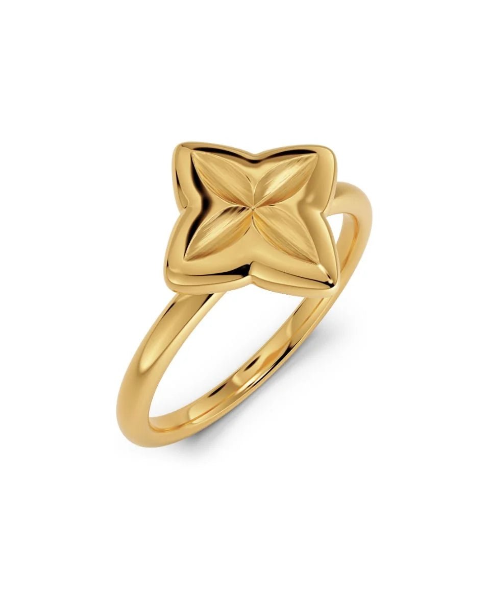 Scala Sormus Gold - EDBLAD - My Milou