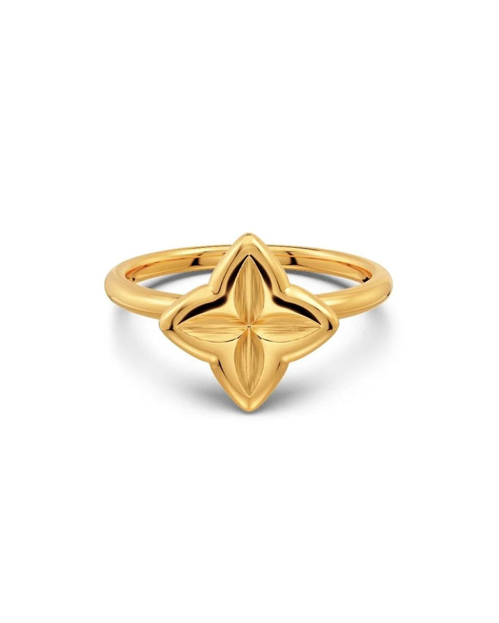 Scala Sormus Gold - EDBLAD - My Milou